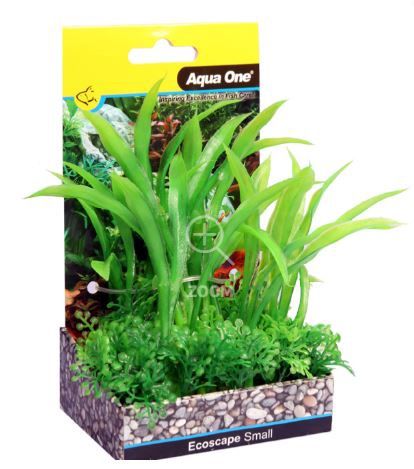Ecoscape Small Crinum Green