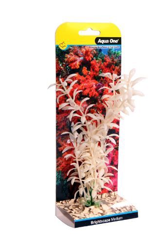 Brightscape Medium Ludwigia White