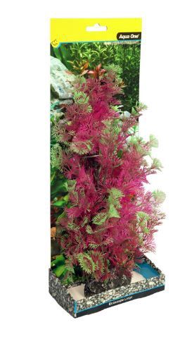 Ecoscape Large Cabomba Pink