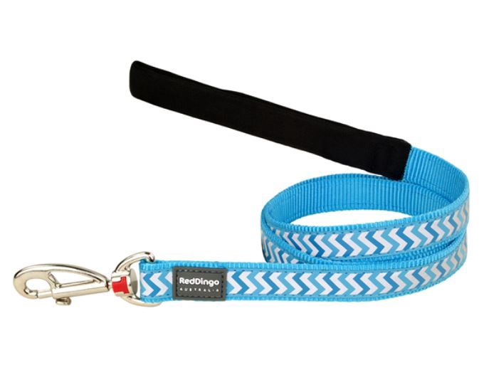 Red Dingo Dog Lead Reflective Ziggy Turquoise, Size: Small