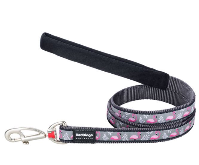 Red Dingo Dog Lead Flamingo, Size: Small
