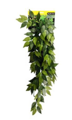 Reptile One Varigated Ivy Cascading Plant 72cm Green
