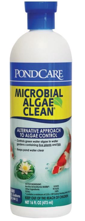 API Pond Microbial Algae Clean 473mL