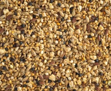 Topflite Quail Mix, Size: Small