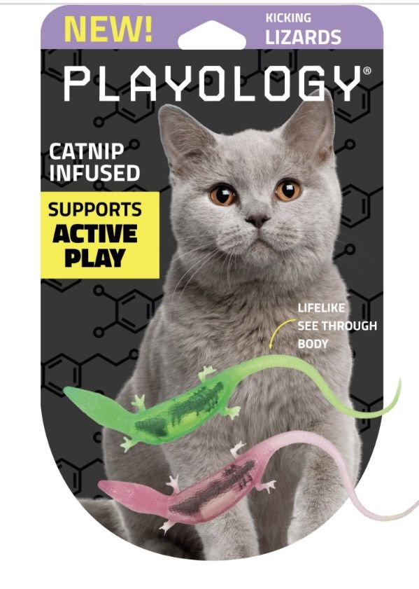 Playology 2-Pk Lizards with Bugs