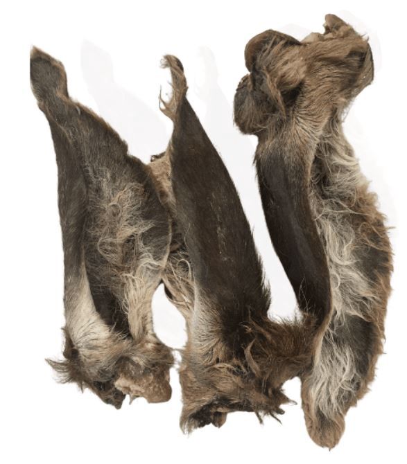 Ranger Venison Ears with Fur