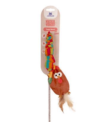 Whisker Workout Tim Turkey