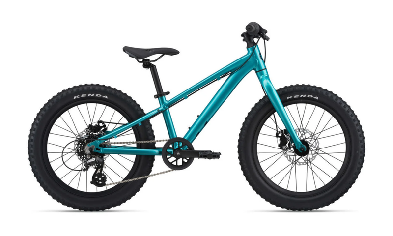 Liv STP 20 - Teal
