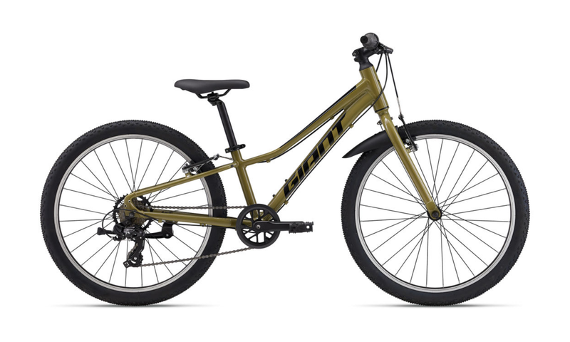 Giant Talon 24 Lite - Dried Herb