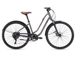 Flourish FS Disc S Early Espresso