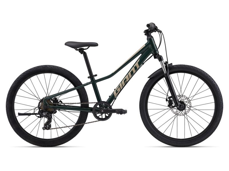 Talon 24 Disc One Size Trekking Green