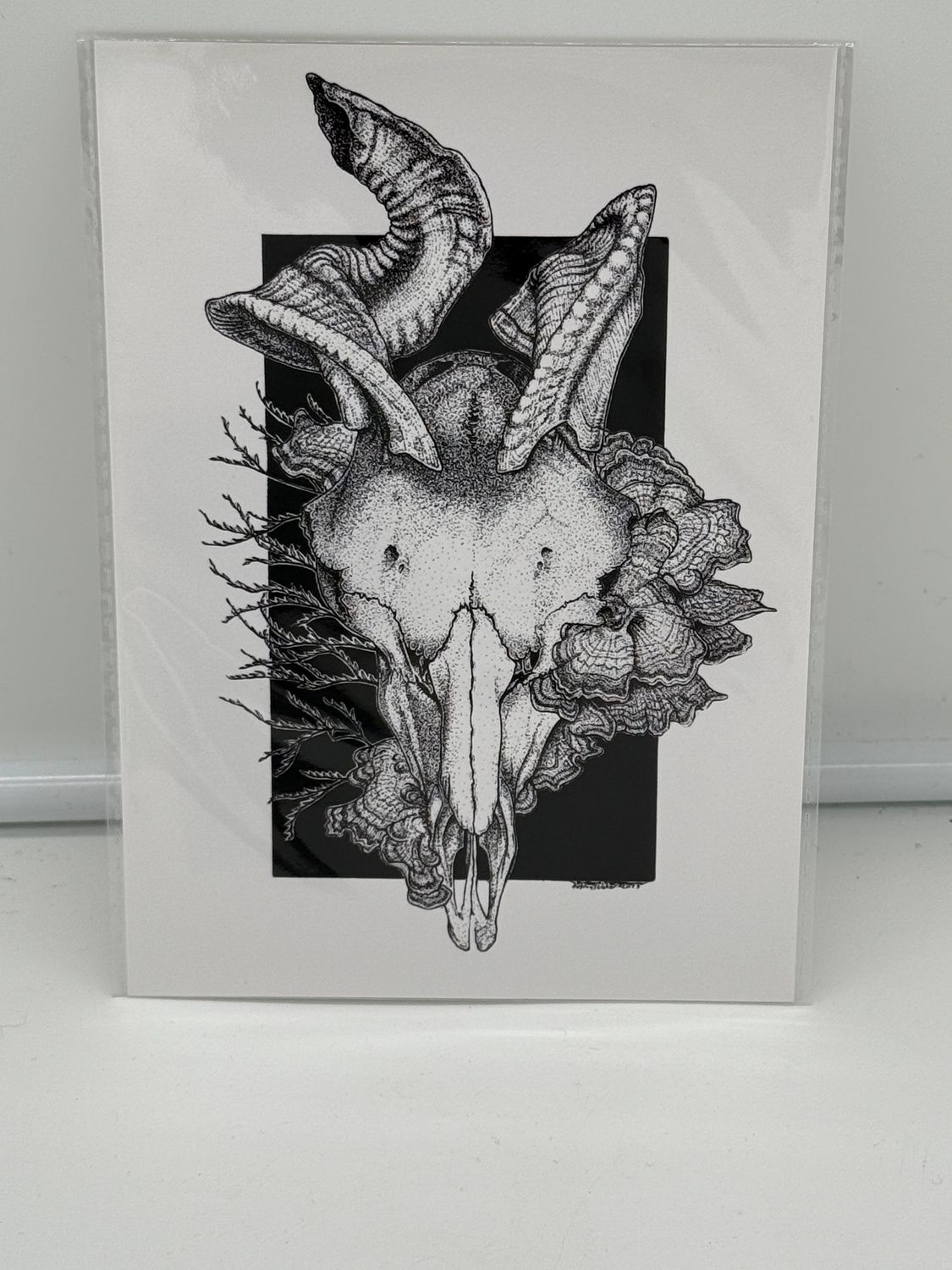 Mini Prints