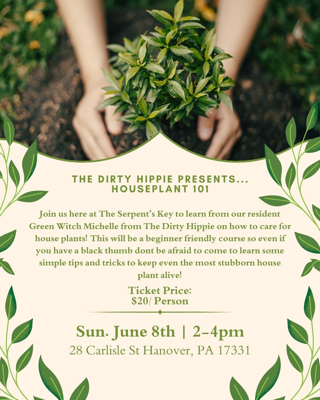 Houseplant 101 with The Dirty Hippie