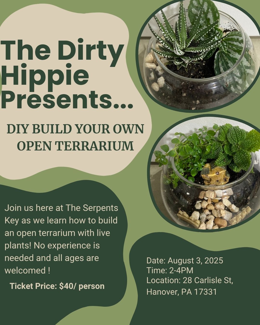 Build Your Own Terrarium with The Dirty Hippie