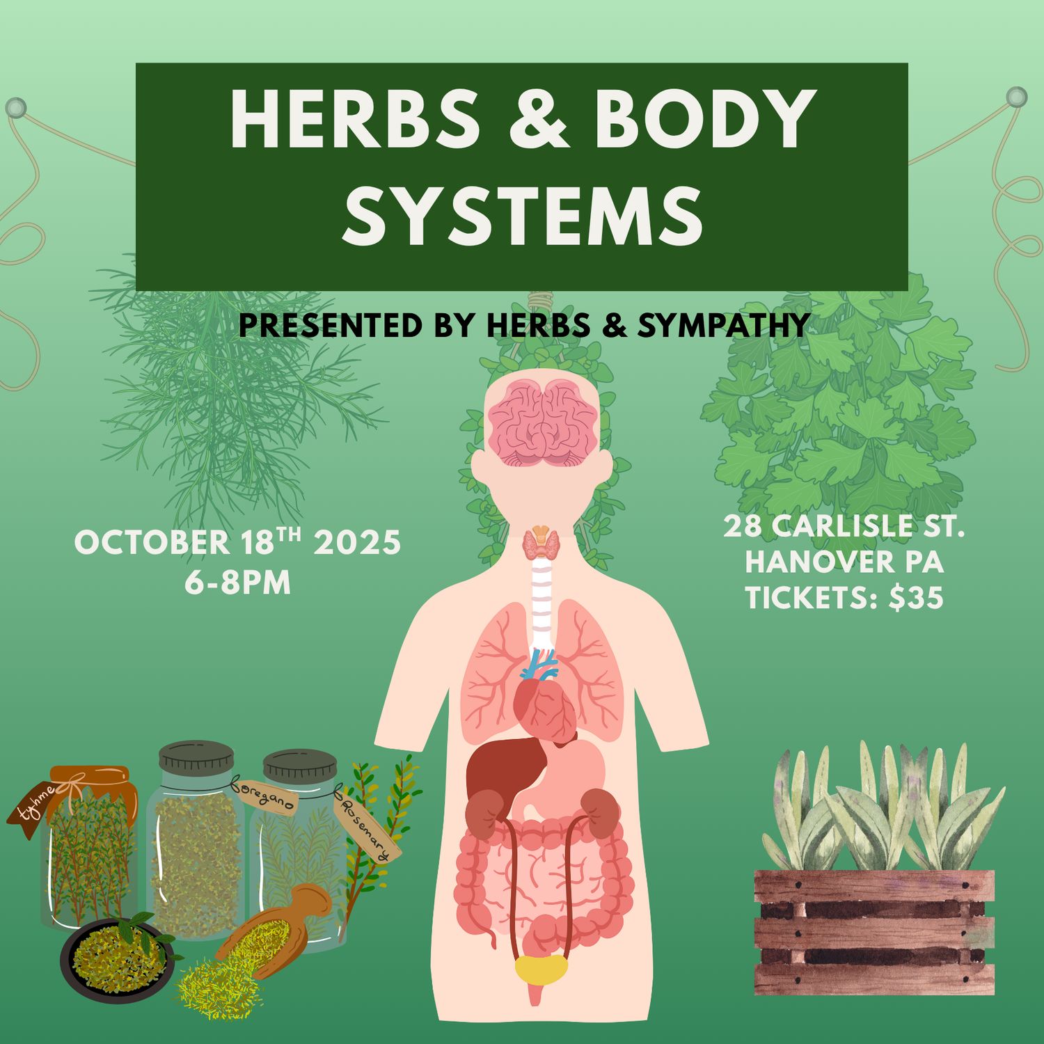 Herbs &amp; Body Systems by Herbs &amp; Sympathy