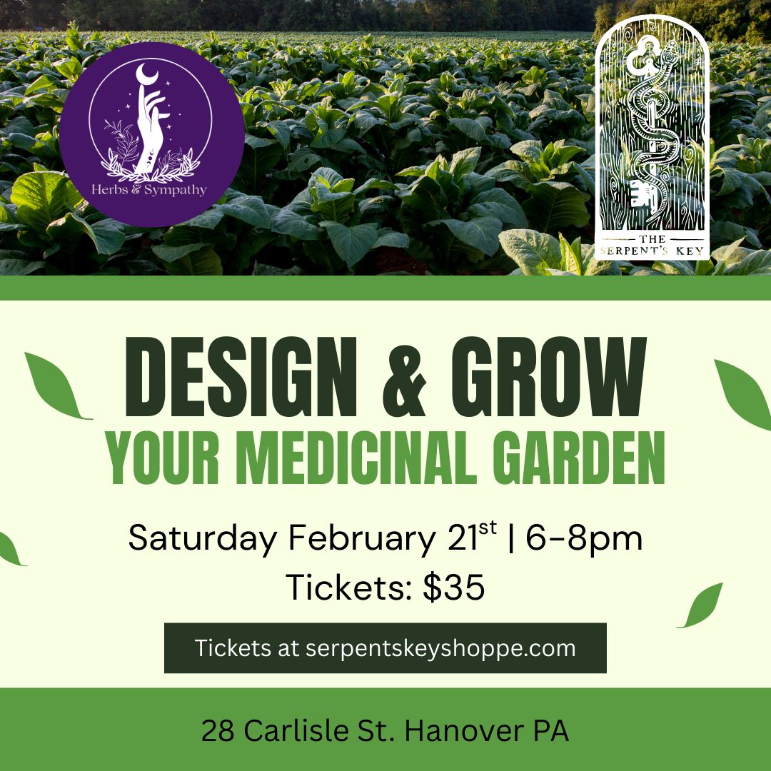 Design and Grow Your Medicinal Garden with Herbs &amp; Sympathy