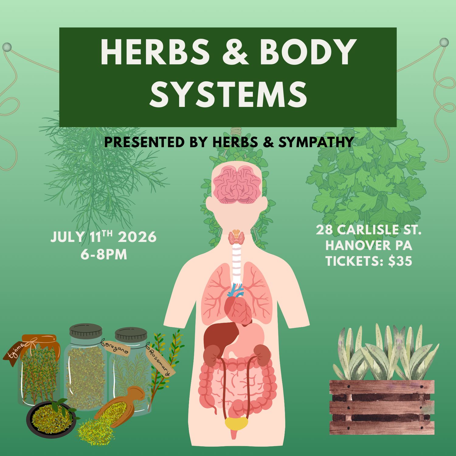 Herbs &amp; Body Systems by Herbs &amp; Sympathy