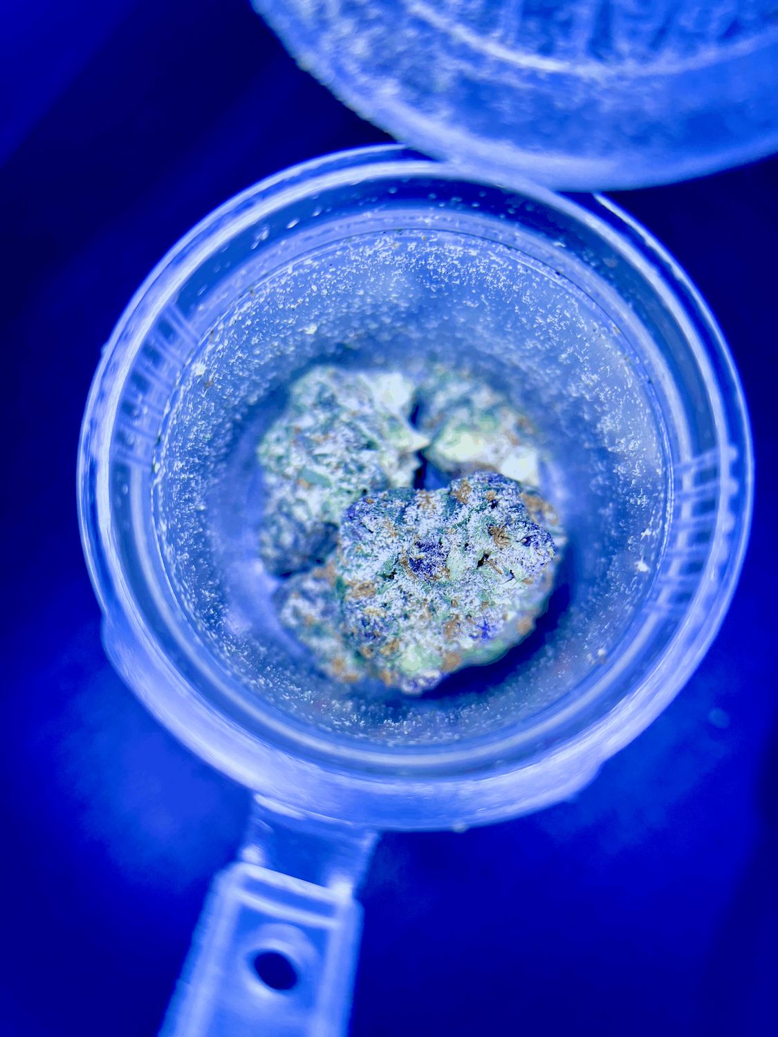 ATREEZ 1G Jar| THC-A
