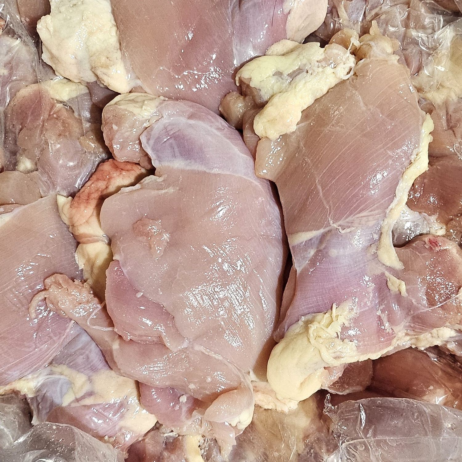 Chick Thigh Meat/Halal 1468 *鸡上腿肉