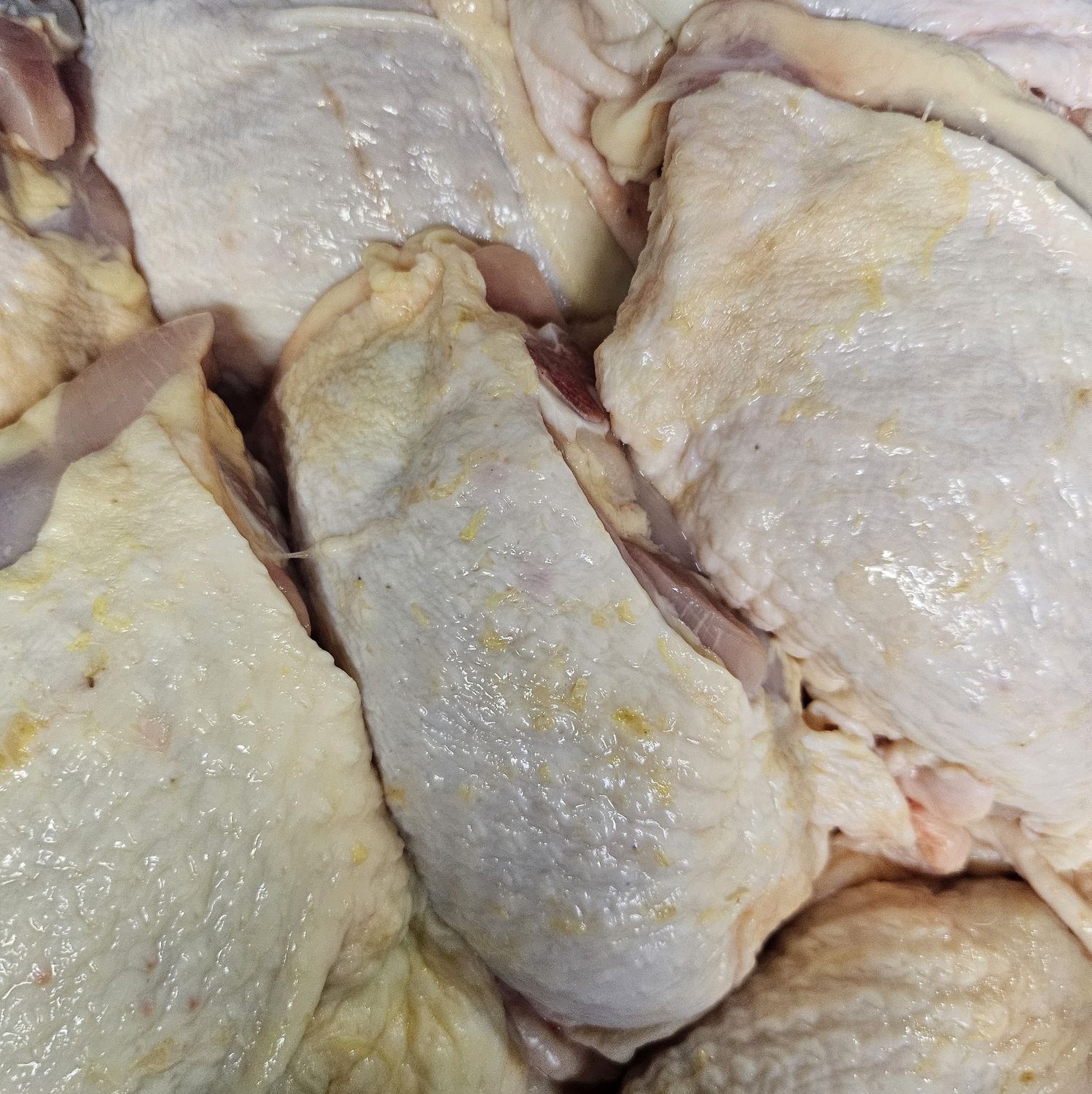 Chick Bone in Thigh Halal HOR1804 *鸡上腿