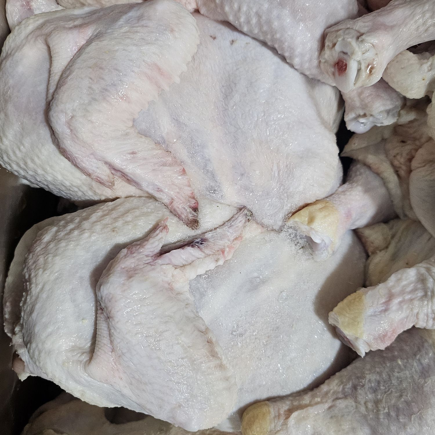Wog 3.5lb/Halal 1554 *全鸡