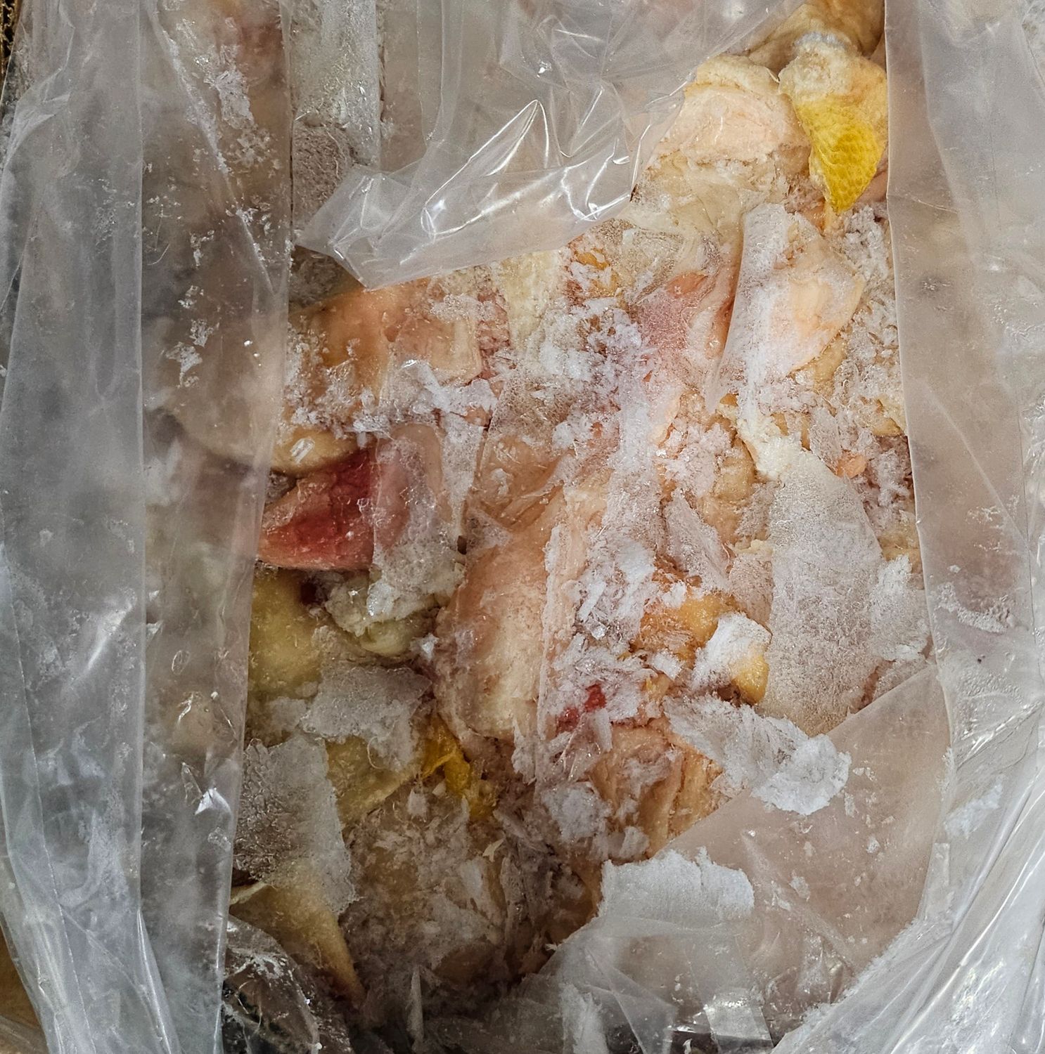 Chick Skin Mecca*鸡皮
