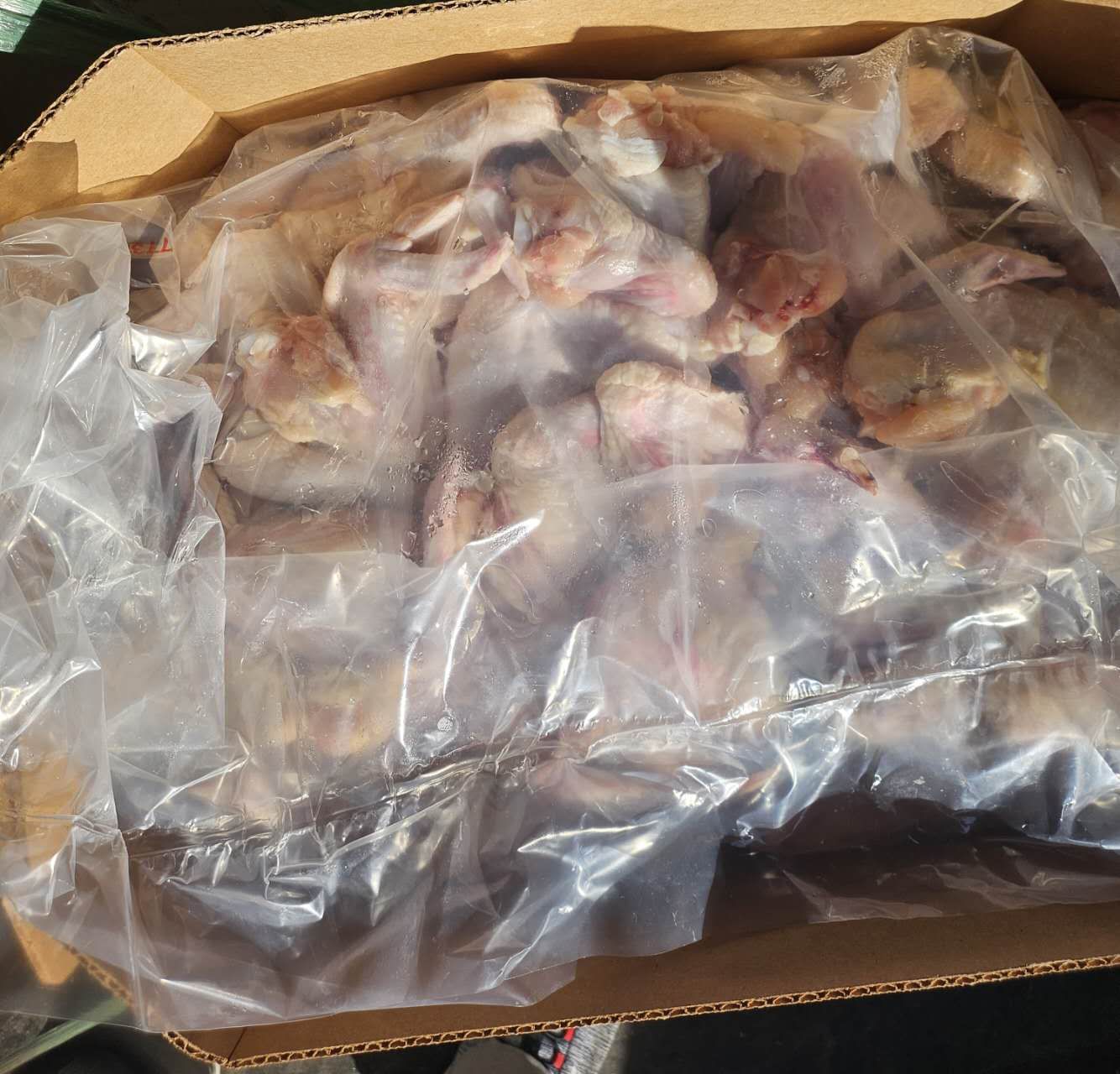 Chicken Wing(M) GE6073*鸡翅