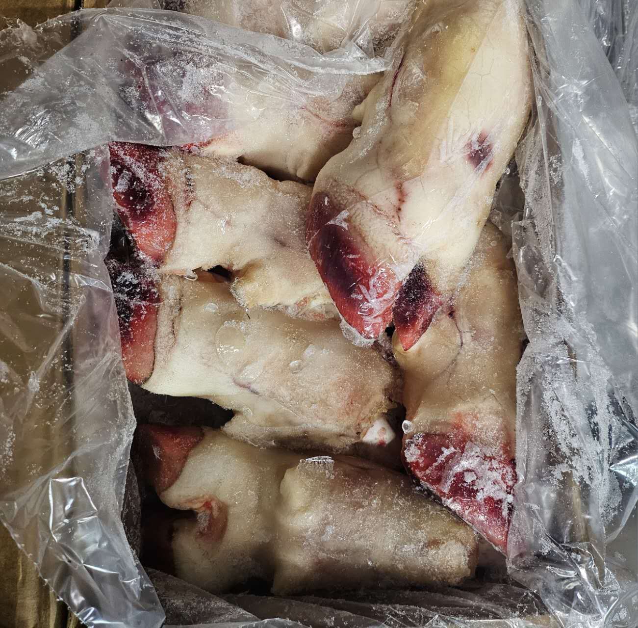 Beef Feet Halal GO 0114*牛脚