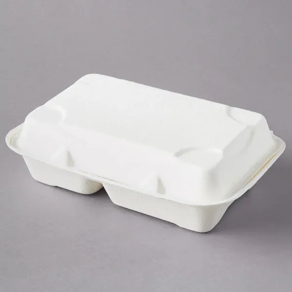 Sugarcane Fiber 9x6x2.5 Hinged Container