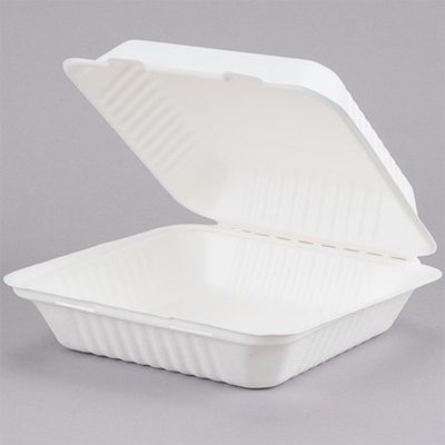 Sugarcane 9X9 Hinged Container 1-C 150/C