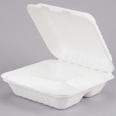 Sugarcane 9x9 Hinged Container 3-C 150/C