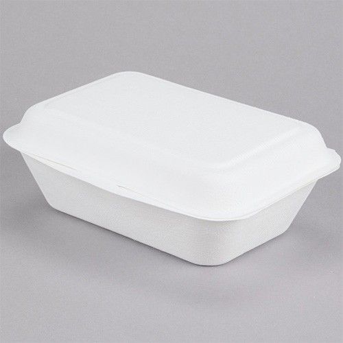 Sugarcane 7x5x2.5 Hinged Container #751