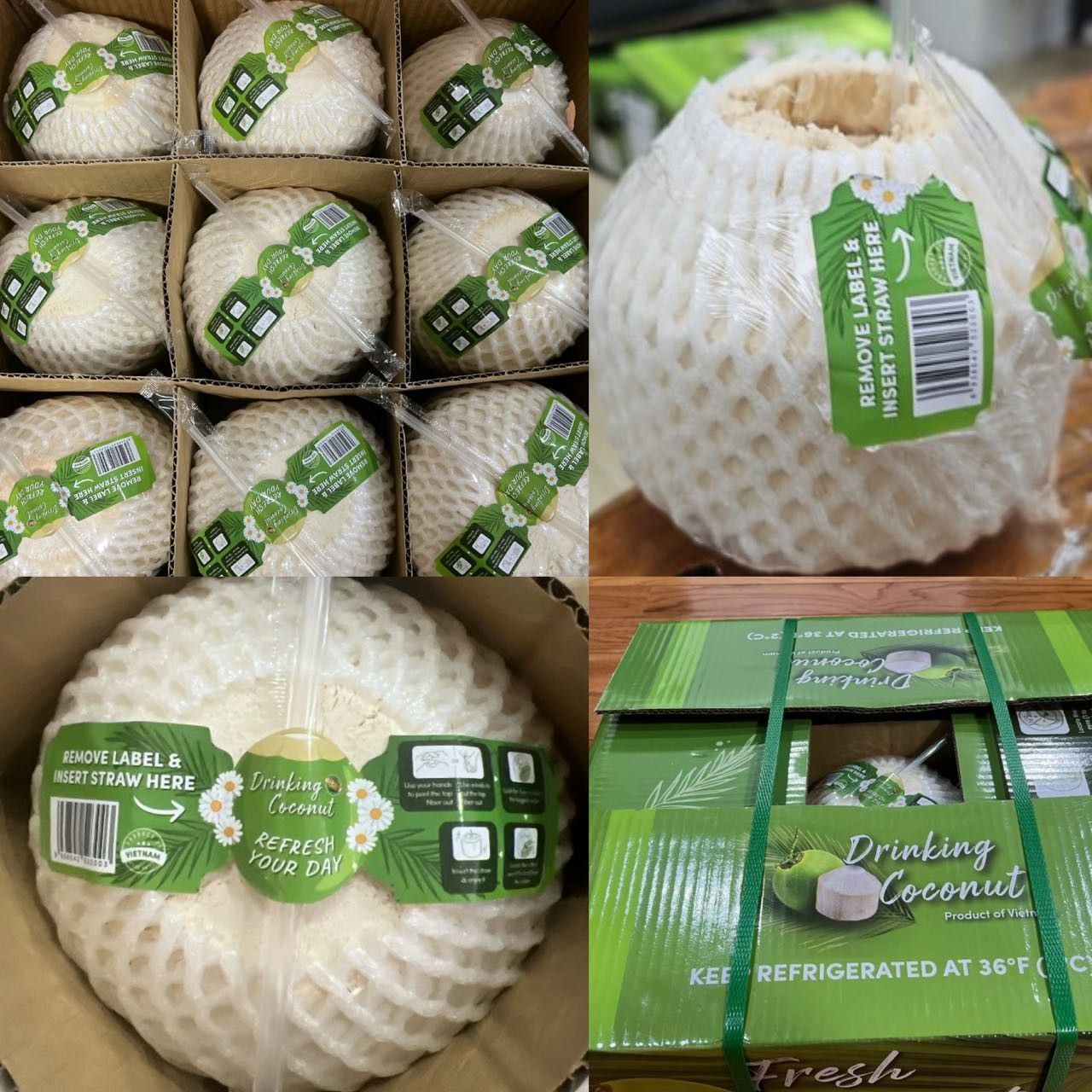 Fresh Coconut Large 9PC/C