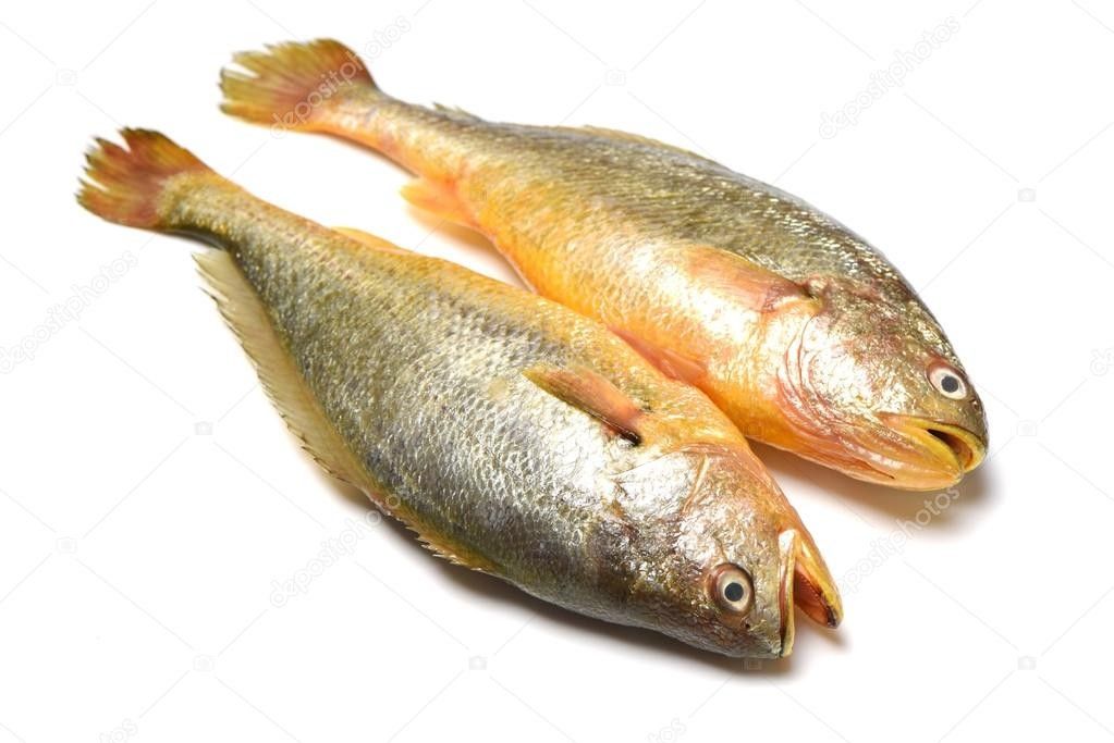Yellow Croaker 60-80g *小黄花鱼