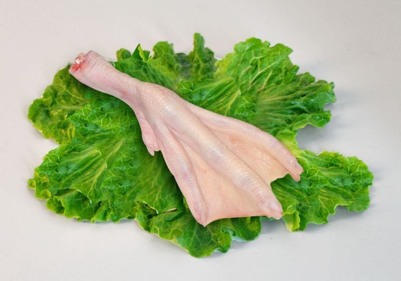 Duck Feet Maple Leaf *鸭脚