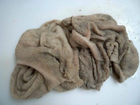 Lamb Tripe Halal ThomasMO0420*原味羊肚/清