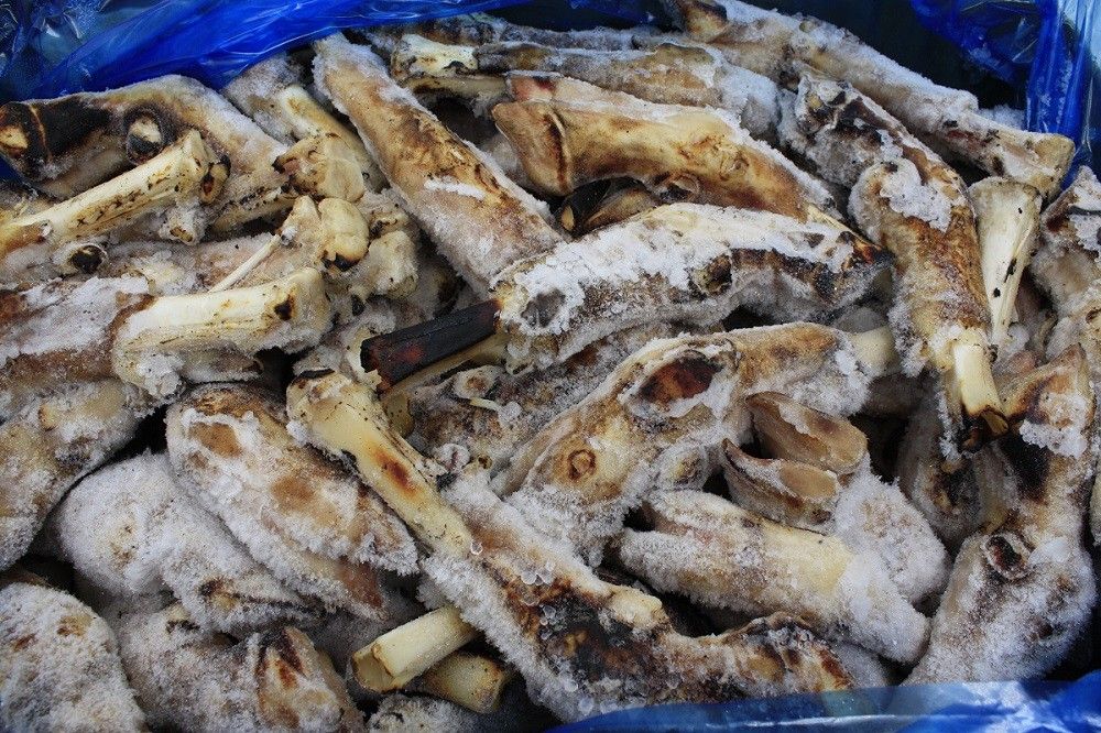 Lamb Burnt Feet Halal Junee12760 *烧羊脚