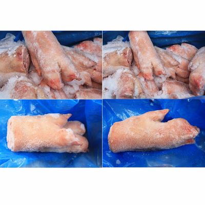 Pork Front Feet CBCO5618 *猪手尖