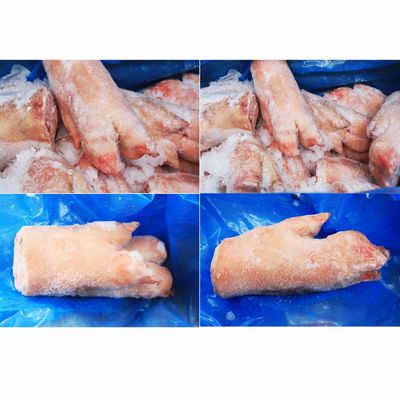 Pork Feet Lancone Conestoga13019*长猪手