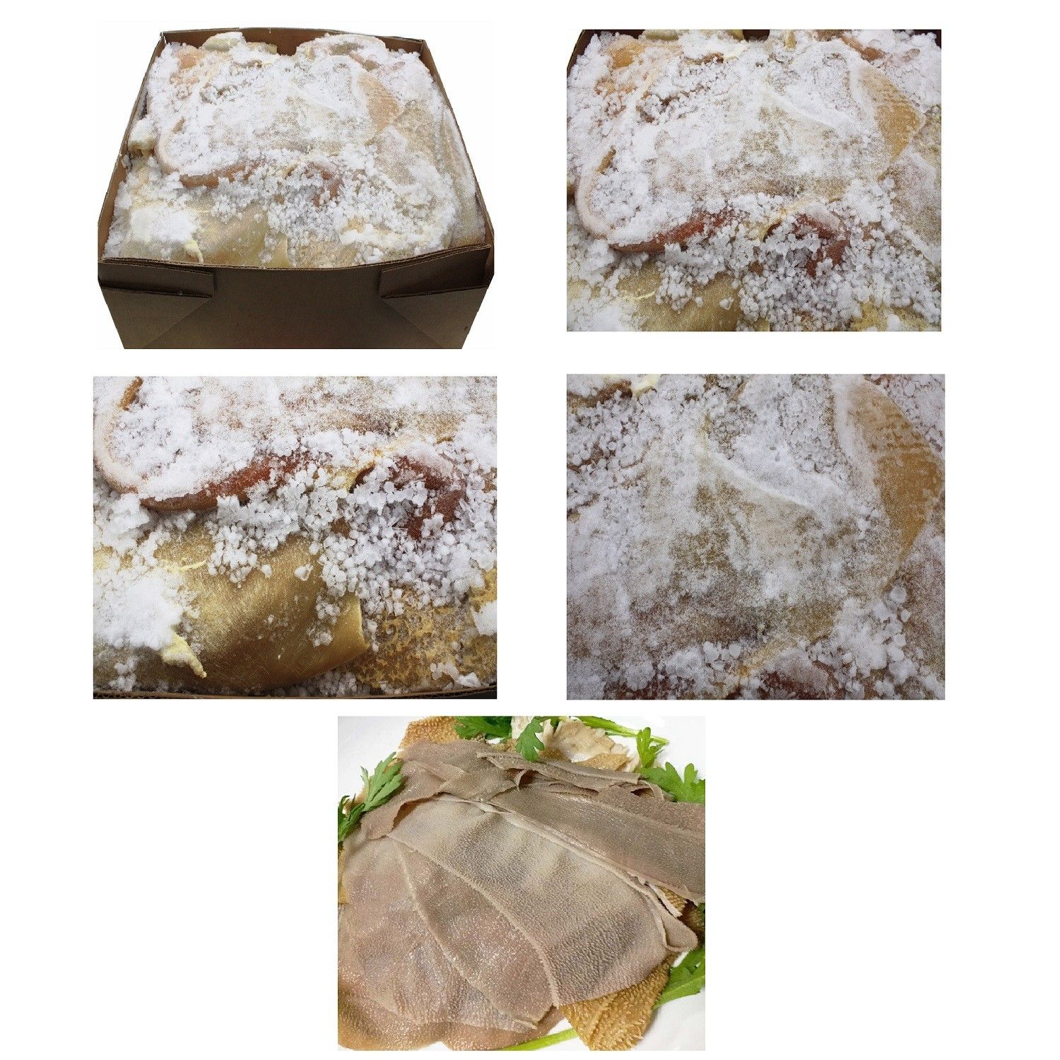 Scalded Tripe Halal AFG 6480 FZ*原味毛肚/清