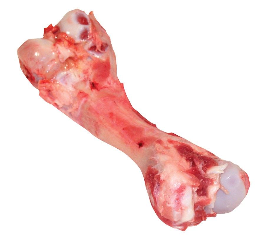 Pork Femur Bone GCM*猪筒骨