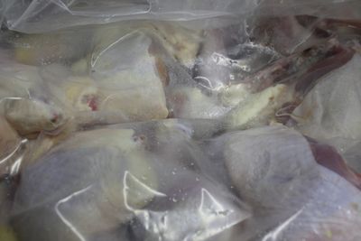 Chicken Q-Leg Halal PG54122*1/4鸡腿/清