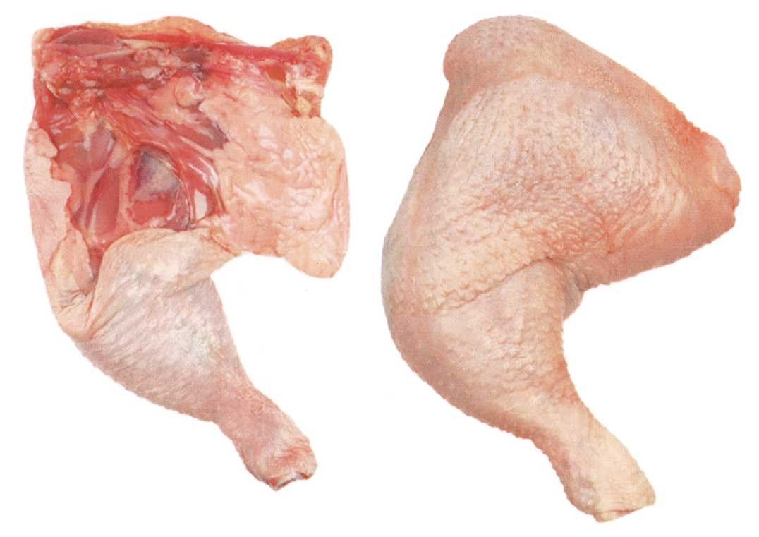 Chicken Qtr Leg(L) Halal PG1572 *1/4鸡腿/清