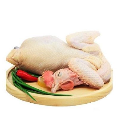 Chicken Fowl Light 40000*老鸡