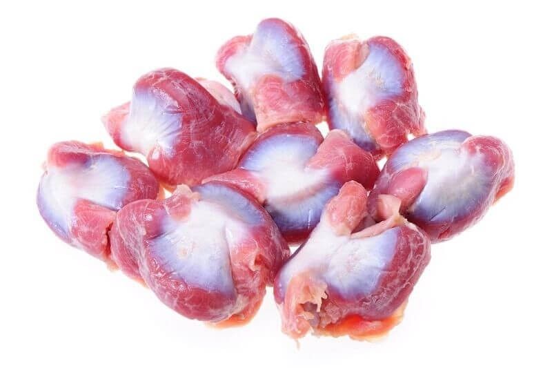 Chicken Gizzard 21132*鸡肾