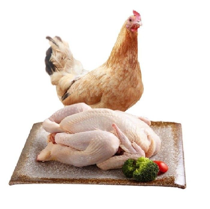 Fresh Rooster Chick 10pc -SW *新鲜公鸡