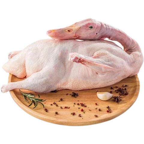 Whole Duck 6 pack 41lb Joe 00088*有头高质鸭6支