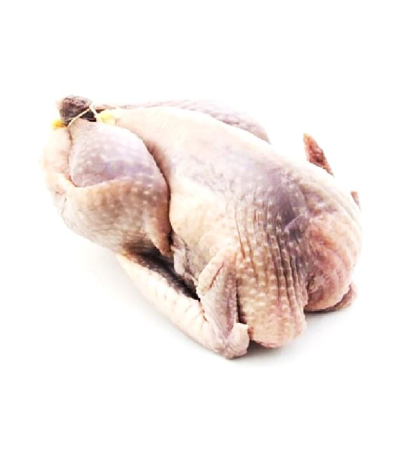 Fresh Guinea Hen 10pc -SW *新鲜珍珠鸡