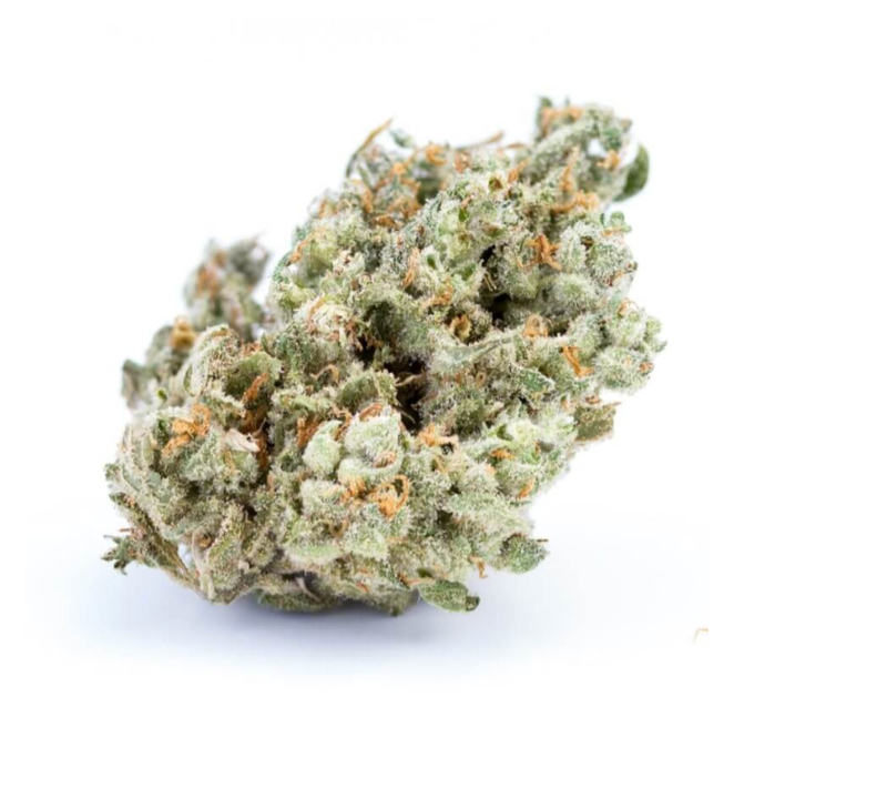 Jack Herer