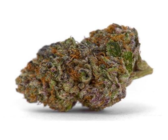 Girl Scout Cookies